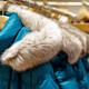 Image for article titled The Amazon Black Friday Deals On Outerwear You Need, Like Now